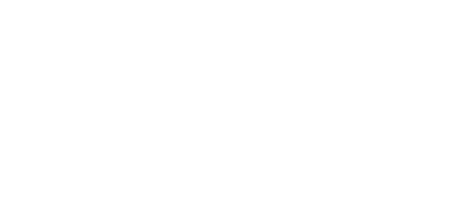 Organized Garage